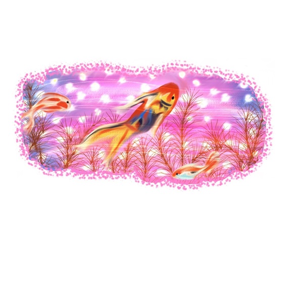 Original, signed, handmade digital art prints - Picture 7 of 7